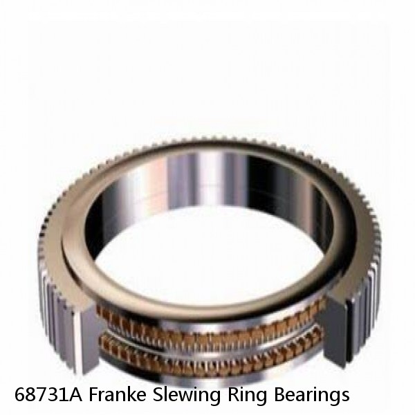 68731A Franke Slewing Ring Bearings