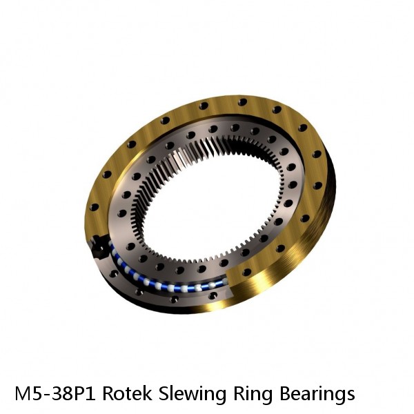 M5-38P1 Rotek Slewing Ring Bearings