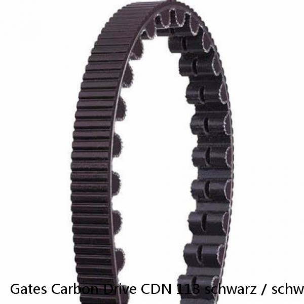 Gates Carbon Drive CDN 113 schwarz / schwarz, Riemen für CDX System Belt - NEU