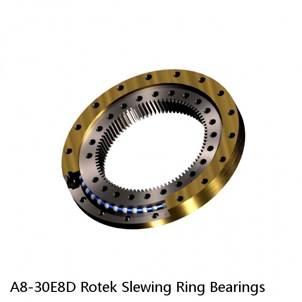 A8-30E8D Rotek Slewing Ring Bearings