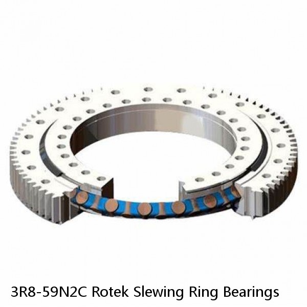 3R8-59N2C Rotek Slewing Ring Bearings