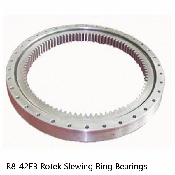 R8-42E3 Rotek Slewing Ring Bearings