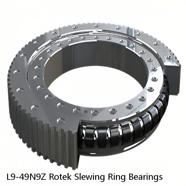 L9-49N9Z Rotek Slewing Ring Bearings