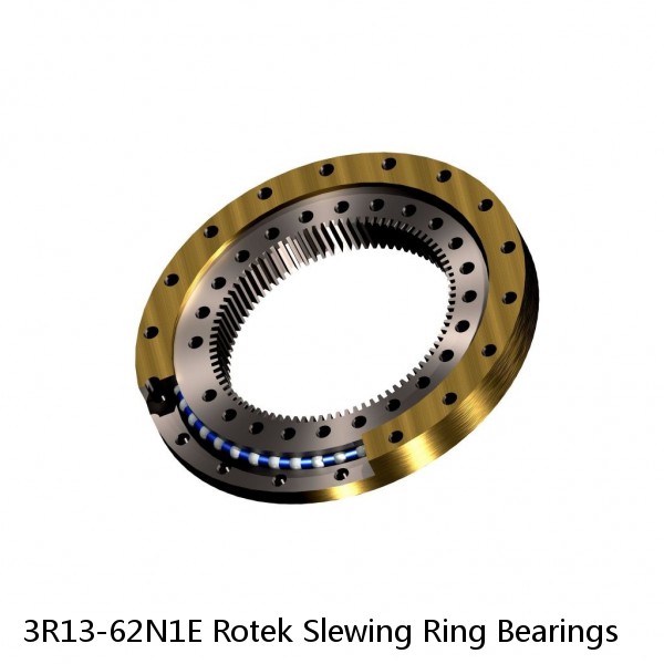 3R13-62N1E Rotek Slewing Ring Bearings