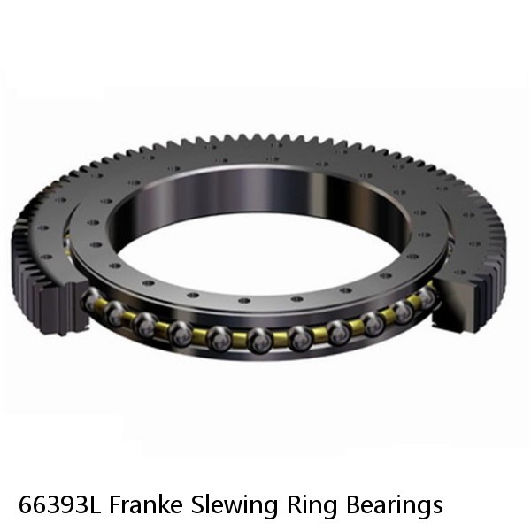 66393L Franke Slewing Ring Bearings