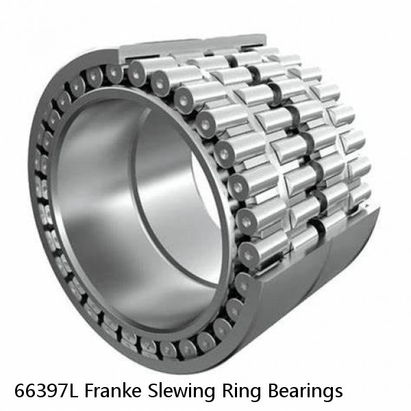 66397L Franke Slewing Ring Bearings