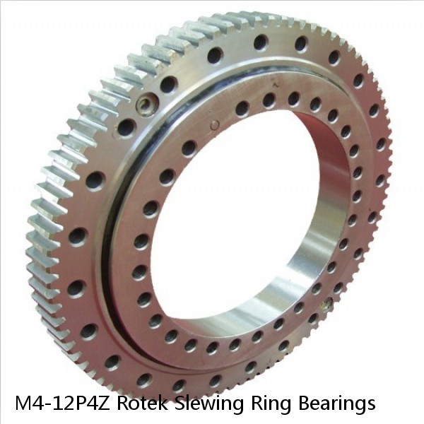 M4-12P4Z Rotek Slewing Ring Bearings