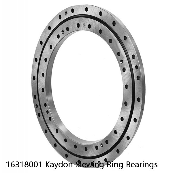 16318001 Kaydon Slewing Ring Bearings