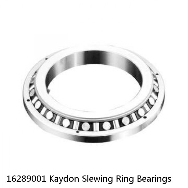 16289001 Kaydon Slewing Ring Bearings