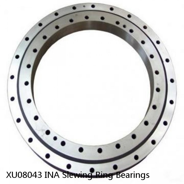 XU08043 INA Slewing Ring Bearings