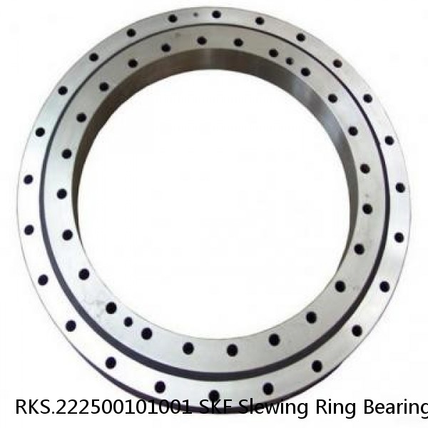 RKS.222500101001 SKF Slewing Ring Bearings