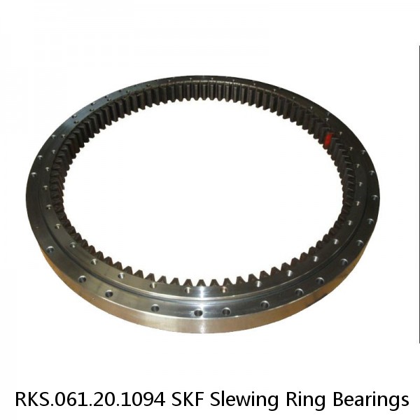 RKS.061.20.1094 SKF Slewing Ring Bearings