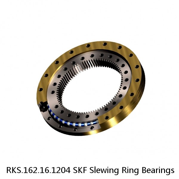 RKS.162.16.1204 SKF Slewing Ring Bearings