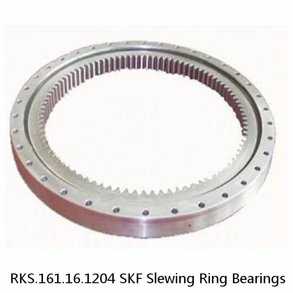 RKS.161.16.1204 SKF Slewing Ring Bearings