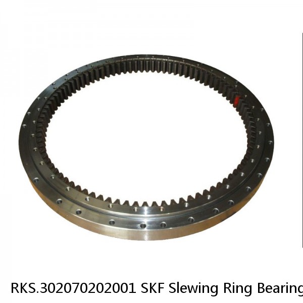 RKS.302070202001 SKF Slewing Ring Bearings