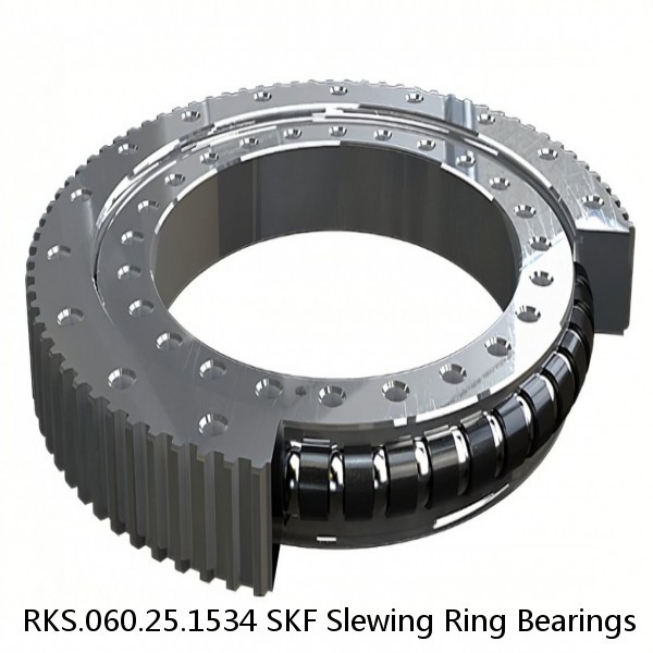 RKS.060.25.1534 SKF Slewing Ring Bearings