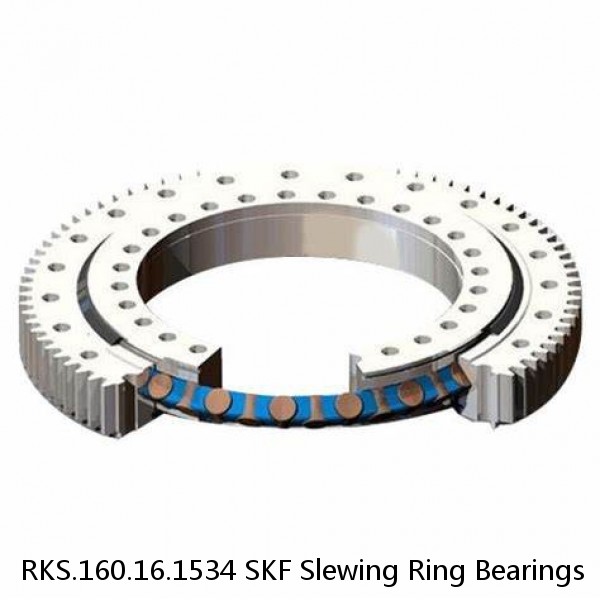 RKS.160.16.1534 SKF Slewing Ring Bearings