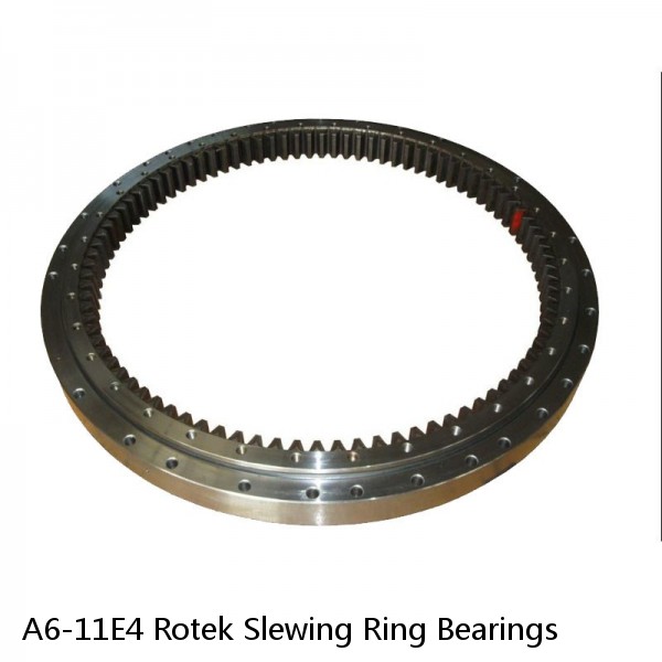 A6-11E4 Rotek Slewing Ring Bearings