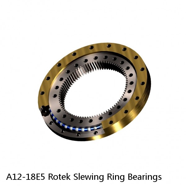 A12-18E5 Rotek Slewing Ring Bearings