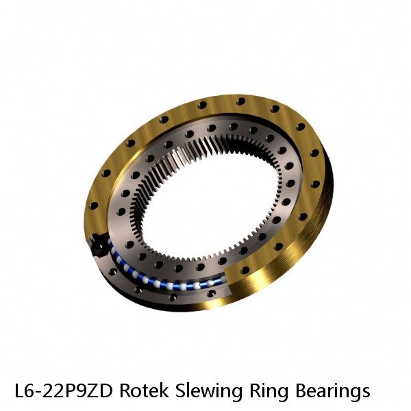 L6-22P9ZD Rotek Slewing Ring Bearings