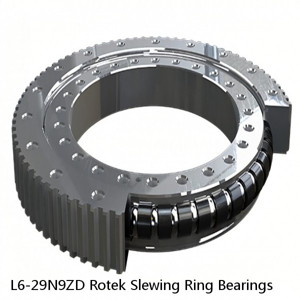 L6-29N9ZD Rotek Slewing Ring Bearings