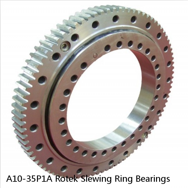 A10-35P1A Rotek Slewing Ring Bearings