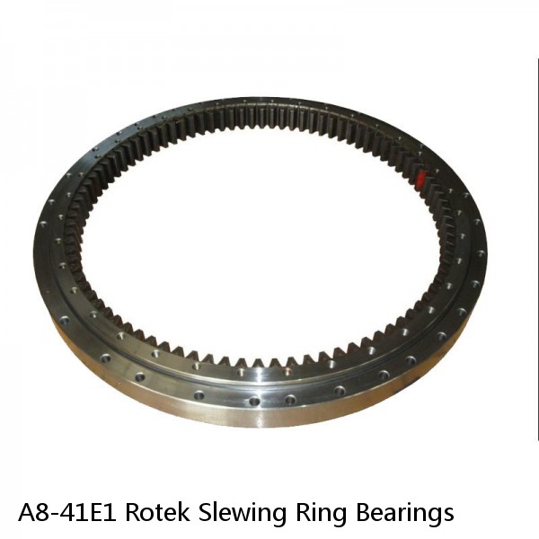 A8-41E1 Rotek Slewing Ring Bearings