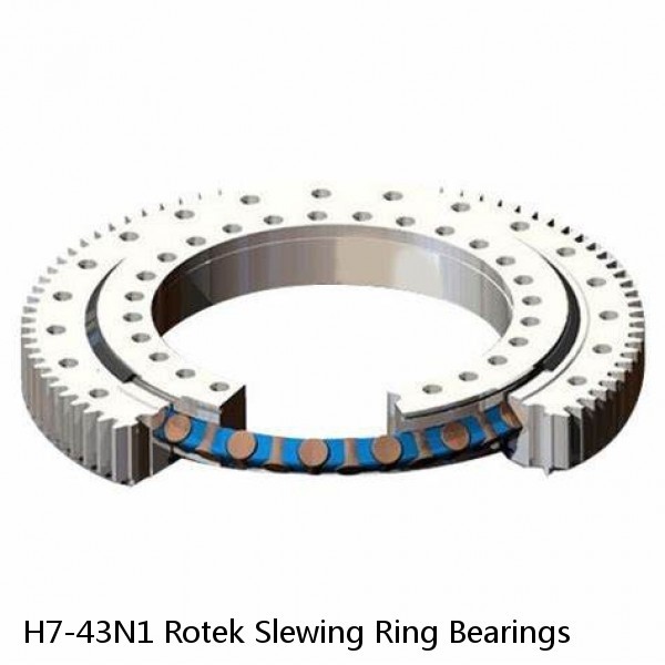 H7-43N1 Rotek Slewing Ring Bearings