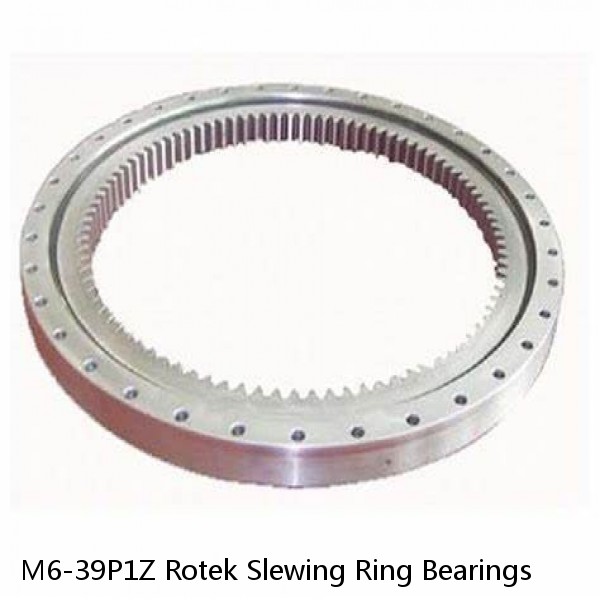 M6-39P1Z Rotek Slewing Ring Bearings