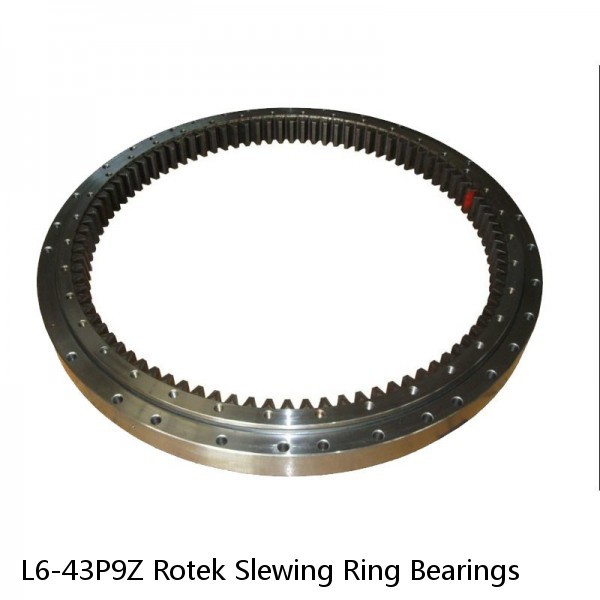 L6-43P9Z Rotek Slewing Ring Bearings