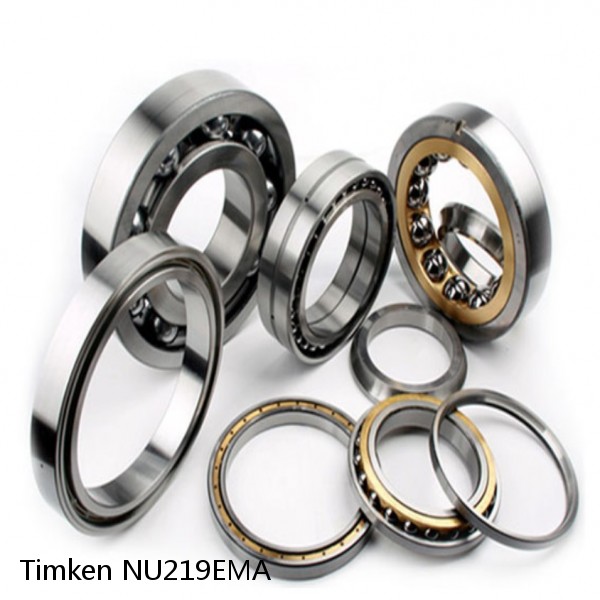 NU219EMA Timken Cylindrical Roller Bearing