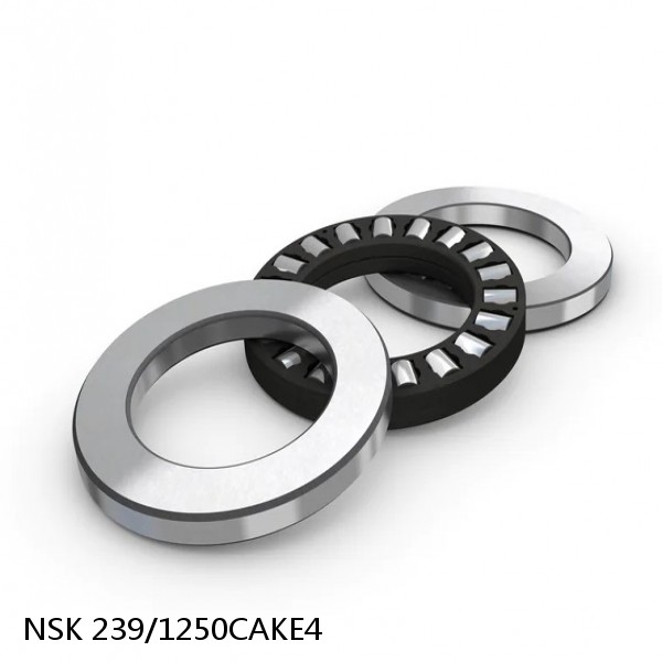 239/1250CAKE4 NSK Spherical Roller Bearing