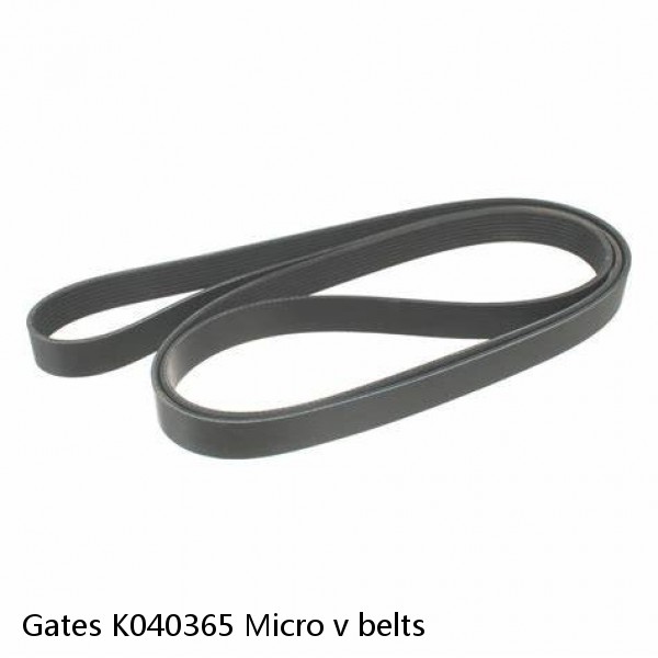 Gates K040365 Micro v belts